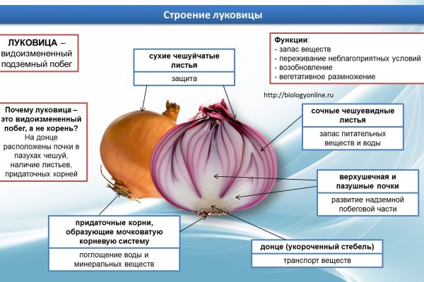 Блэкспрут даркнет сайт