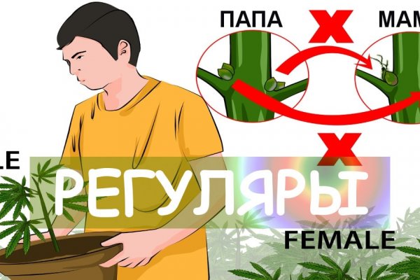 Блэк спрут работает