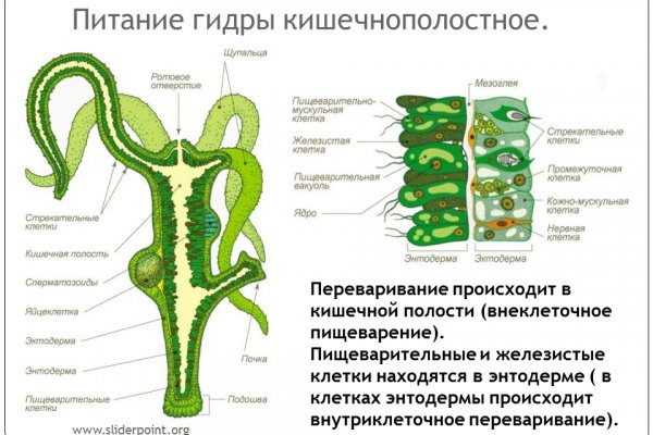 Спрут сайт тор